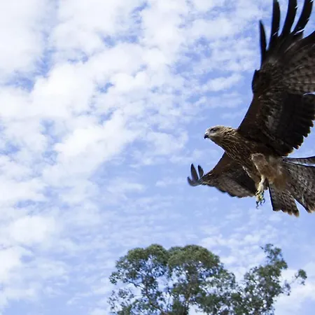 Дом отдыха Moradias Do Douro Internacional *