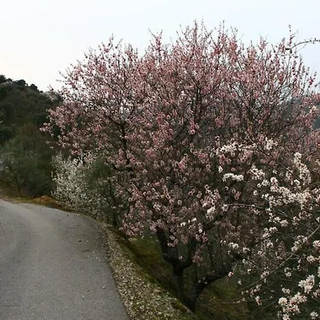 Moradias Do Douro Internacional Дом отдыха Фрейшу-ди-Эшпада-а-Синта