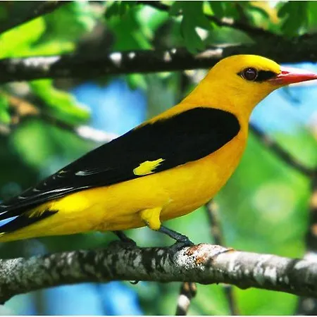 Moradias Do Douro Internacional Дом отдыха *