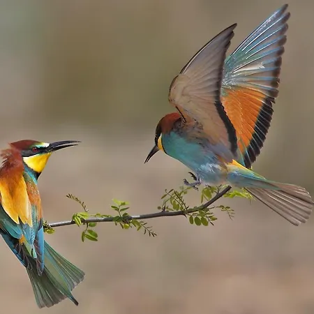 Moradias Do Douro Internacional Дом отдыха *