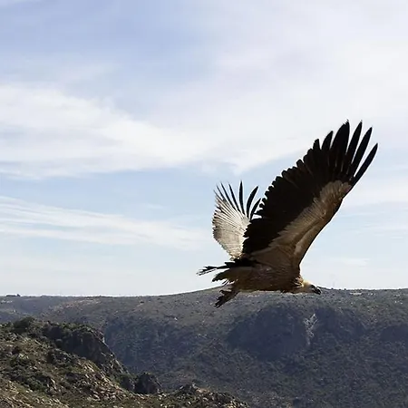 Дом отдыха Moradias Do Douro Internacional *