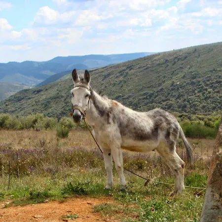 Moradias Do Douro Internacional *