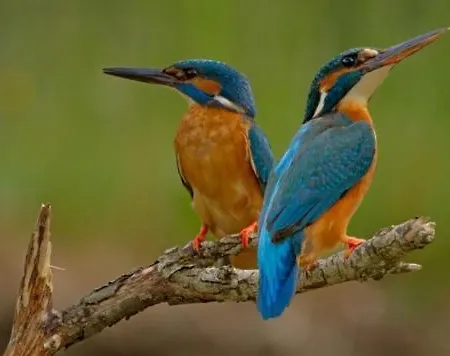 Moradias Do Douro Internacional Фрейшу-ди-Эшпада-а-Синта