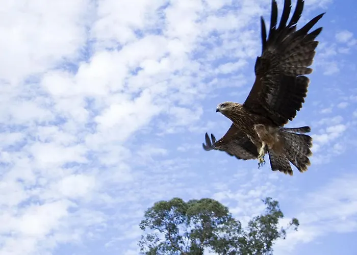 Сasa de vacaciones Moradias Do Douro Internacional - M4 *