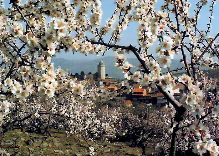 Moradias Do Douro Internacional - M4