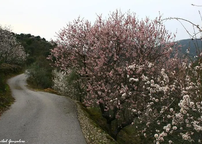 Moradias Do Douro Internacional - M4 Сasa de vacaciones Freixo de Espada à Cinta