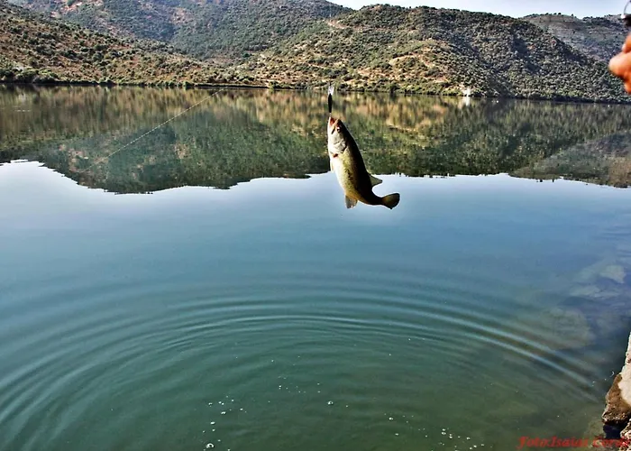 Moradias Do Douro Internacional - M4 Сasa de vacaciones Freixo de Espada à Cinta
