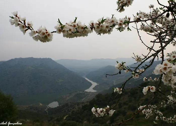 Moradias Do Douro Internacional - M4 Сasa de vacaciones