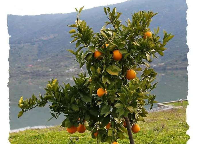 Moradias Do Douro Internacional - M4 *