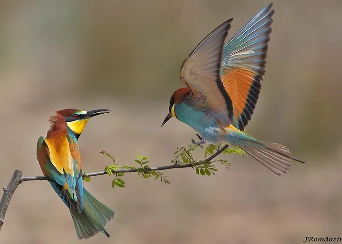 Moradias Do Douro Internacional - M4 Сasa de vacaciones *