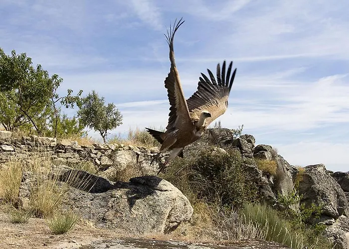 Moradias Do Douro Internacional - M4