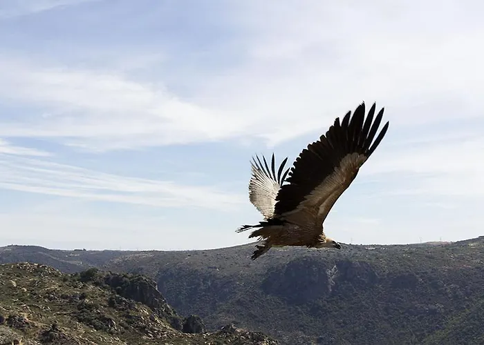 Сasa de vacaciones Moradias Do Douro Internacional - M4 *