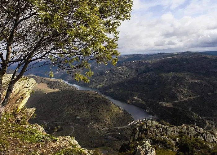 Moradias Do Douro Internacional - M4 * Freixo de Espada à Cinta